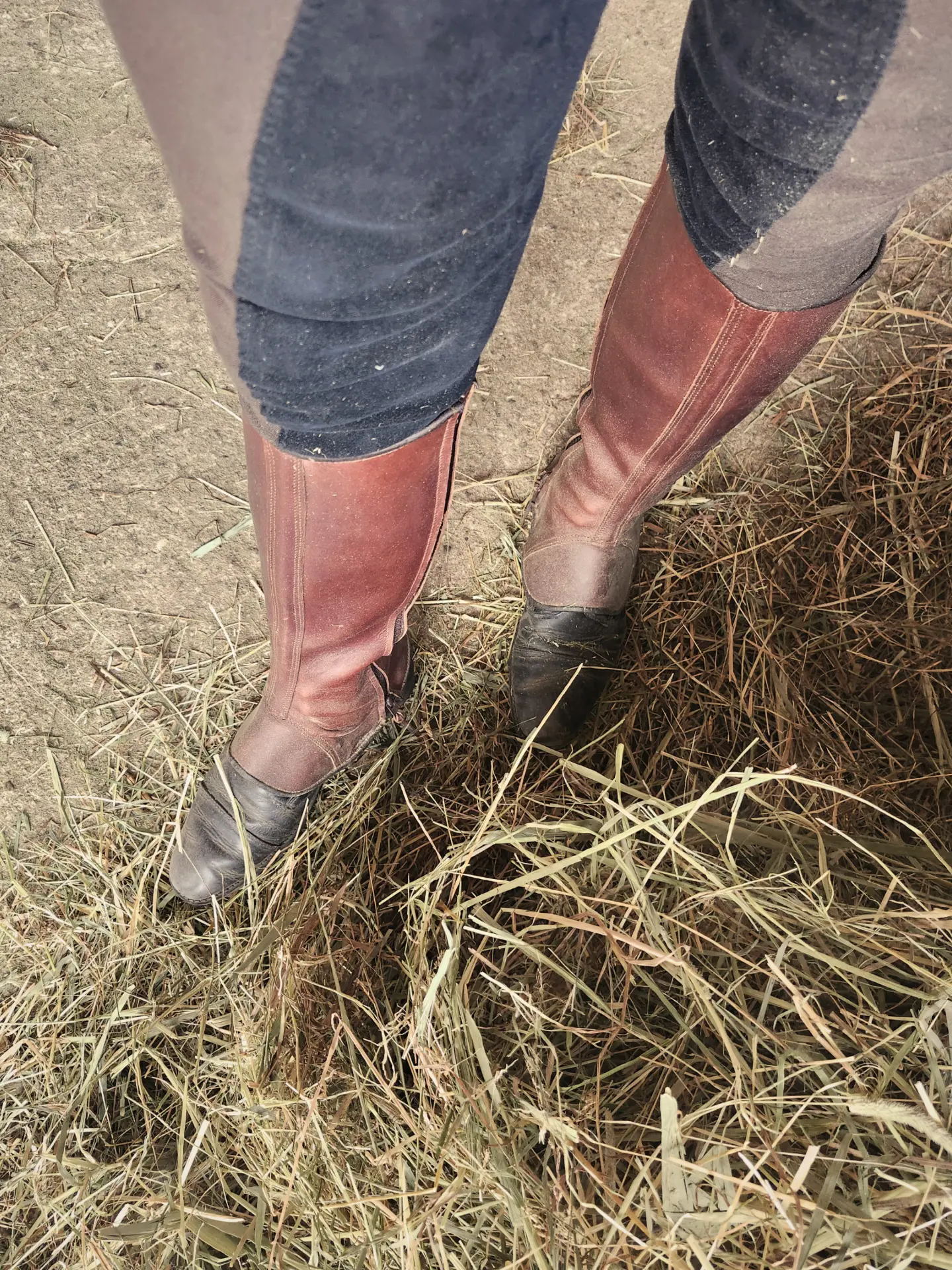 Original Reitstiefel im Heu, Detail